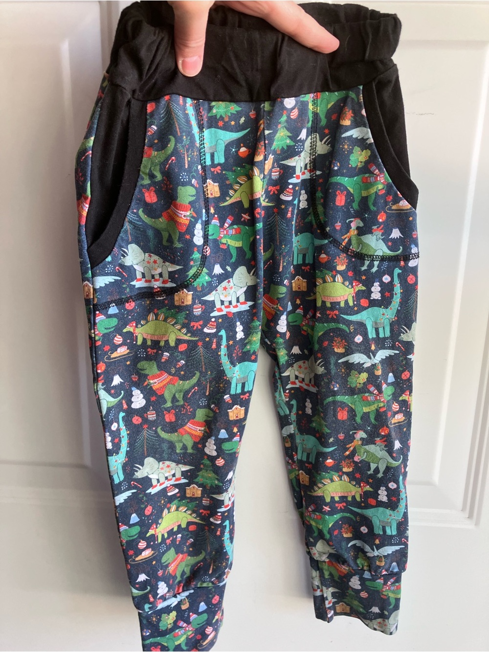 Small shop Christmas dinosaurs pants 4T
